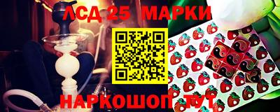 прущие крисы Обь