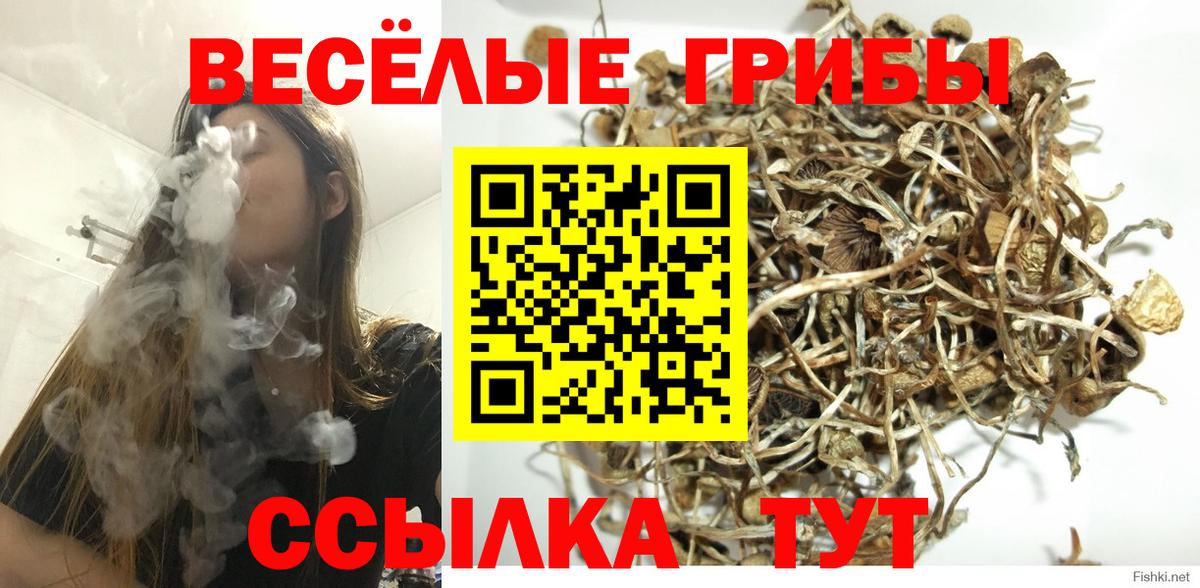 Галлюциногенные грибы Magic Shrooms Янаул
