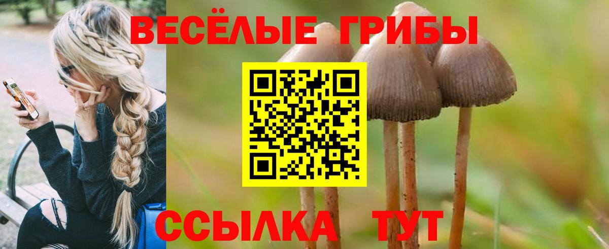 Псилоцибиновые грибы Magic Shrooms  Вход с VPN  Янаул 